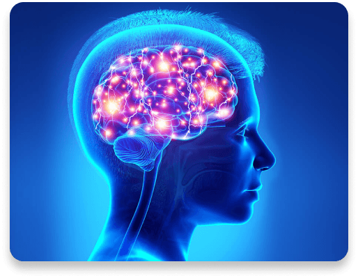 Brain Mapping Visualization